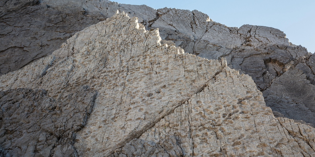 Le migliaia di orme di dinosauri scoperte al Passo dello Stelvio