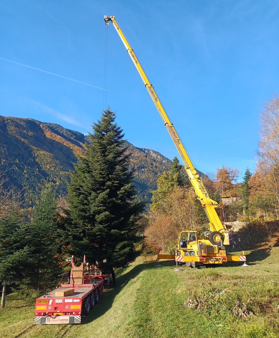 La gru solleva l'albero scelto da Bolzano per adagiarlo nel cassone del tir