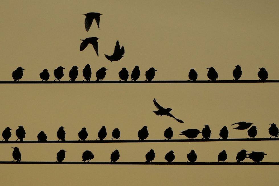 Domenica 21 dicembre