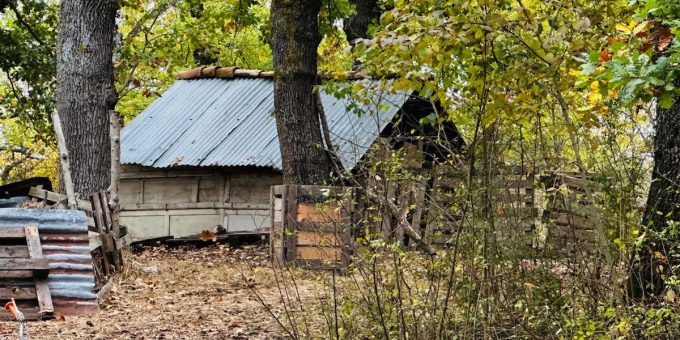 È stato ordinato un esame psicologico sui genitori della “famiglia nel bosco”