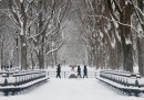 Central Park innevato dopo una tempesta di neve, 27 dicembre.