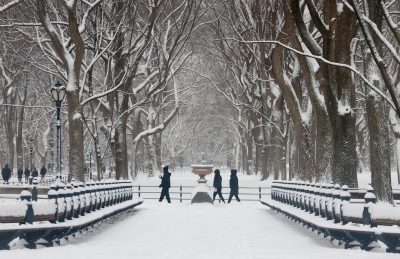 Central Park innevato dopo una tempesta di neve, 27 dicembre.
