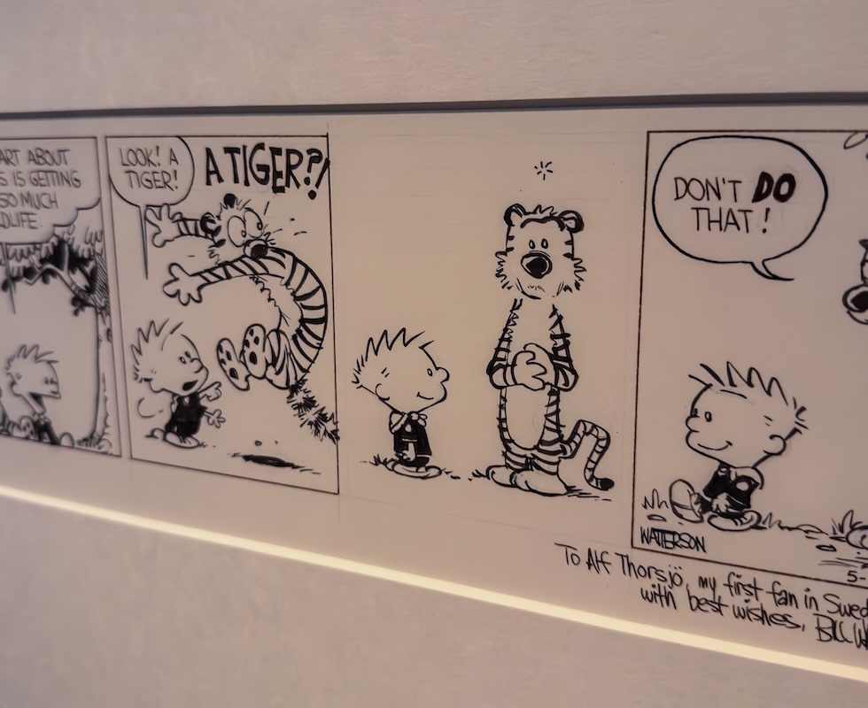 Una striscia di Calvin e Hobbes