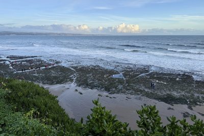 Gruppetti di persone passeggiano sulla spiaggia mentre c’è bassa marea