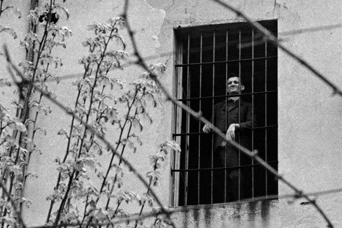 Non sarebbe meglio rinchiuderli?