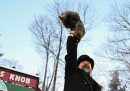 Punxsutawney, Pennsylvania, Stati Uniti