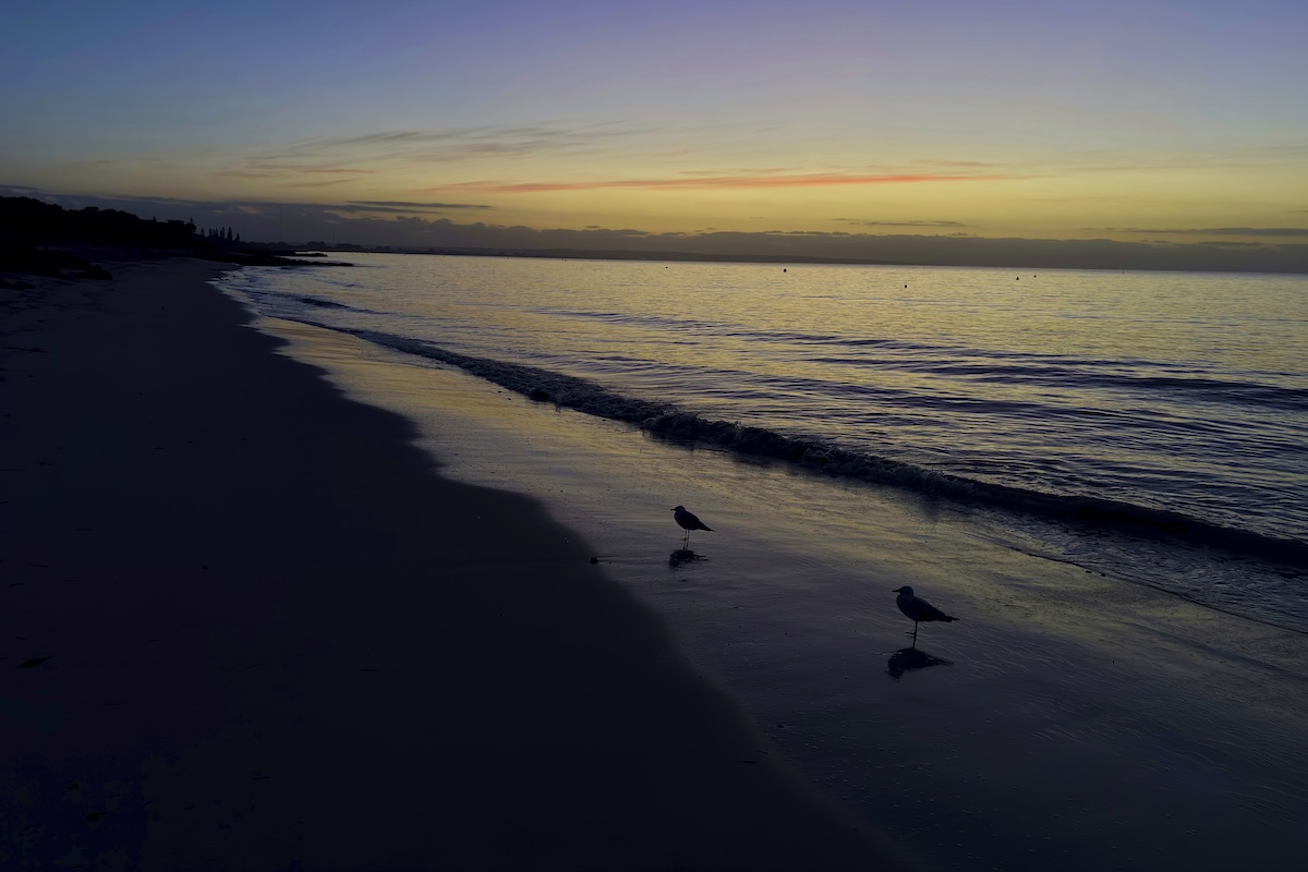 In Australia un 13enne ha nuotato per 4 ore per far soccorrere i suoi familiari bloccati in mare