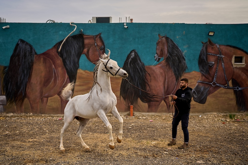 Martedì 10 febbraio
