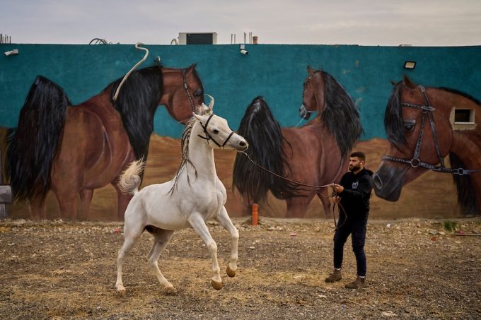 Martedì 10 febbraio