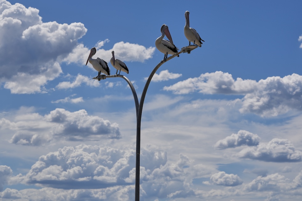 Mercoledì 18 febbraio