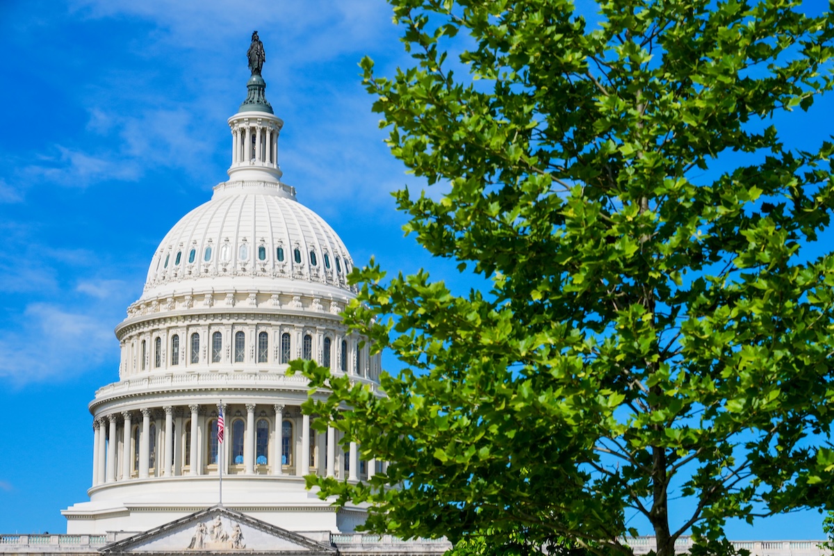 Il Campidoglio di Washington, dove ha sede il Congresso, in una foto del 17 aprile