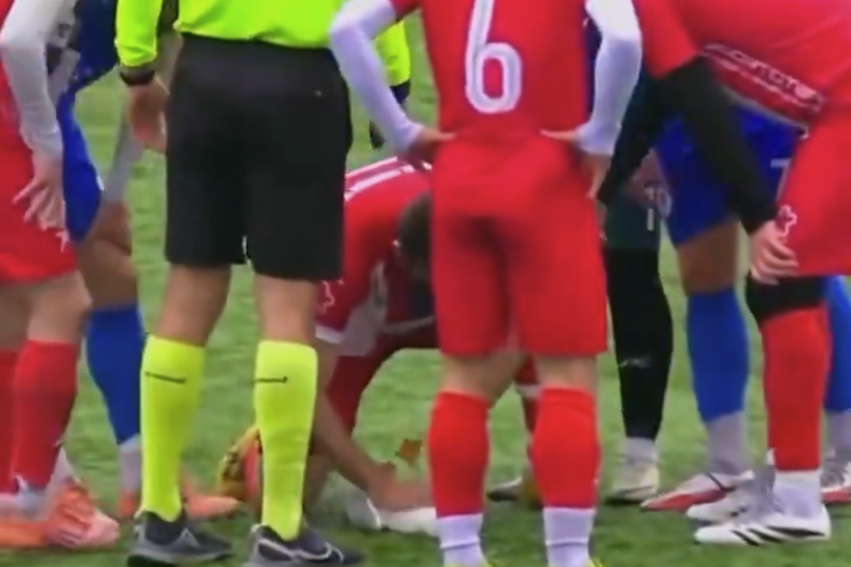 Il video di un gabbiano colpito da una pallonata e rianimato da un calciatore durante una partita