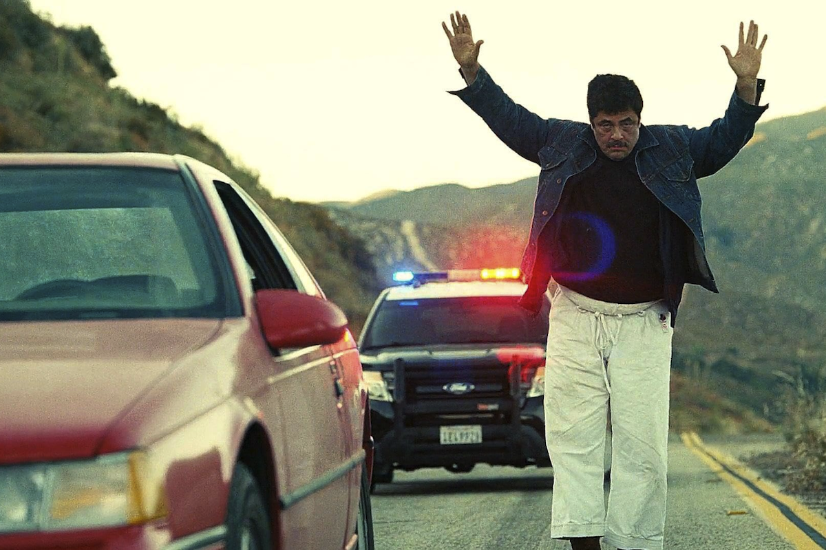 And the Oscar forse goes to