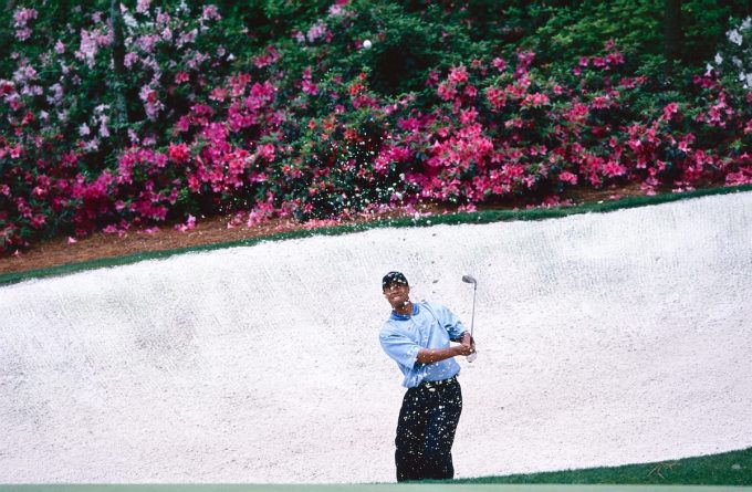 Fiorellini, gnomi da giardino e panini a meno di tre euro