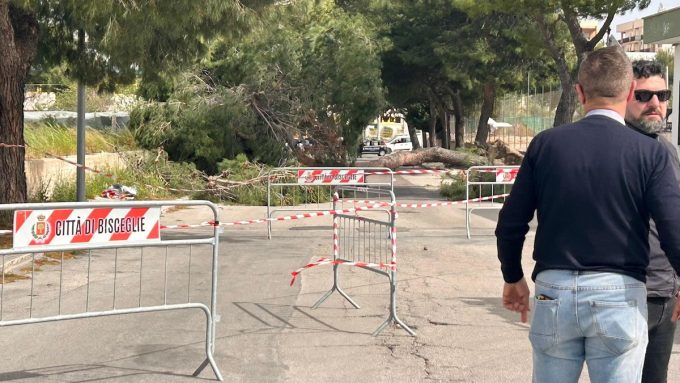 In Puglia due persone sono morte in incidenti causati dal vento forte