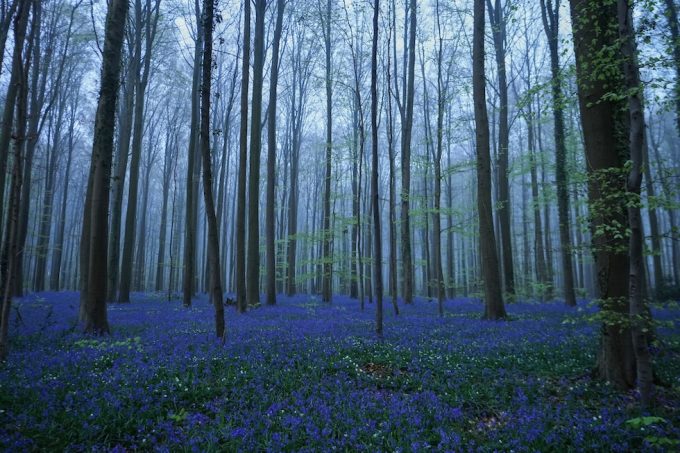 Mercoledì 15 aprile