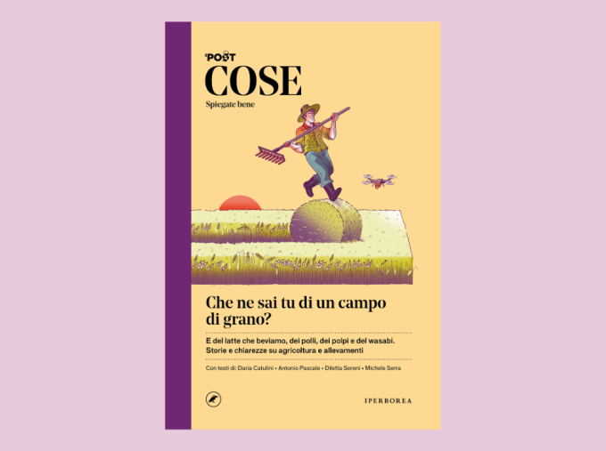 Che ne sai tu di un campo di grano (COSE Spiegate bene), a Mantova