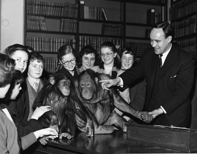 È morto l’etologo inglese Desmond Morris, che scrisse “La scimmia nuda”