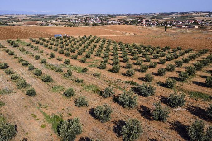 Il parlamento greco ha revocato l’immunità a 13 parlamentari indagati in un caso di frode sui sussidi europei per l’agricoltura