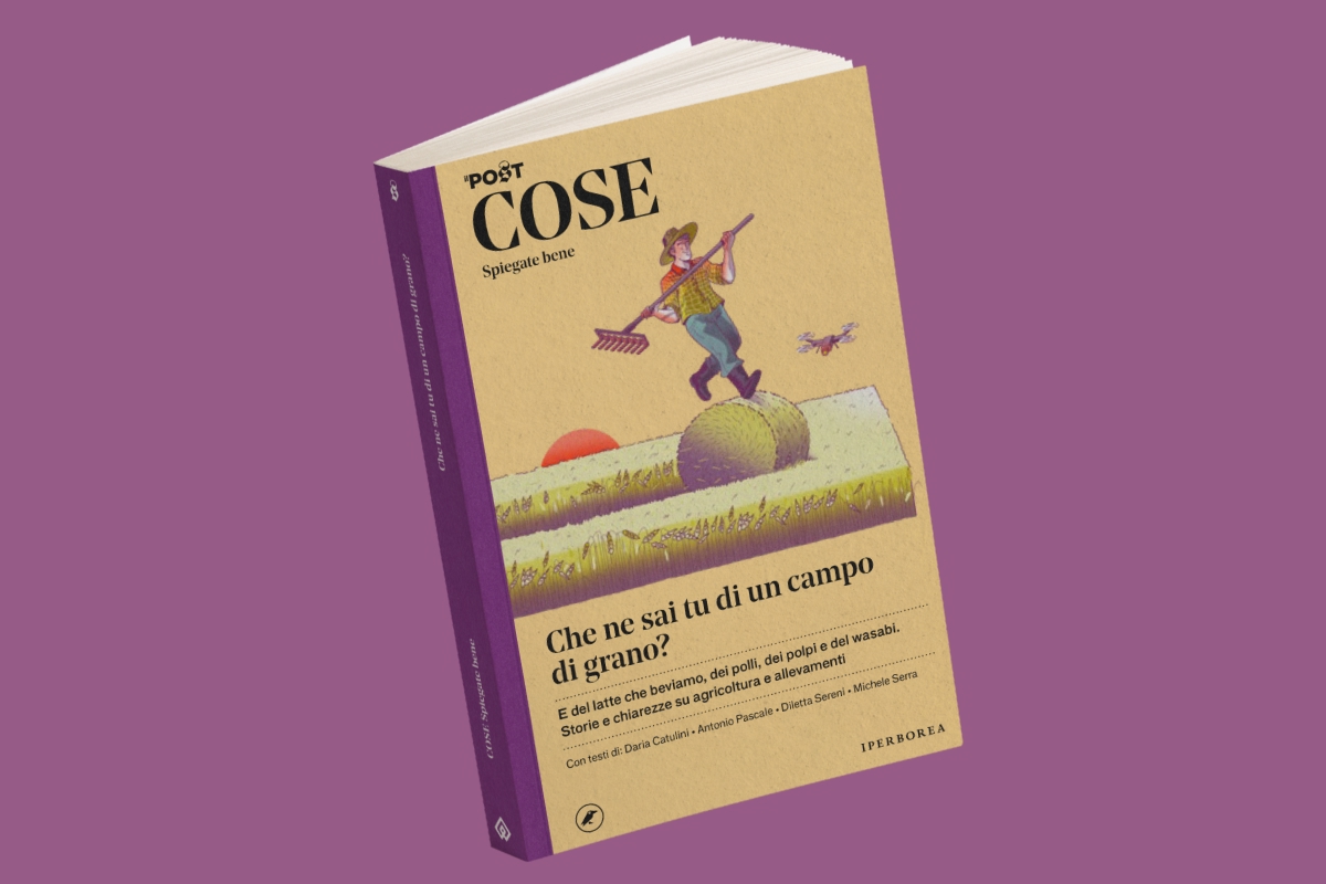 Che ne sai tu di un campo di grano?