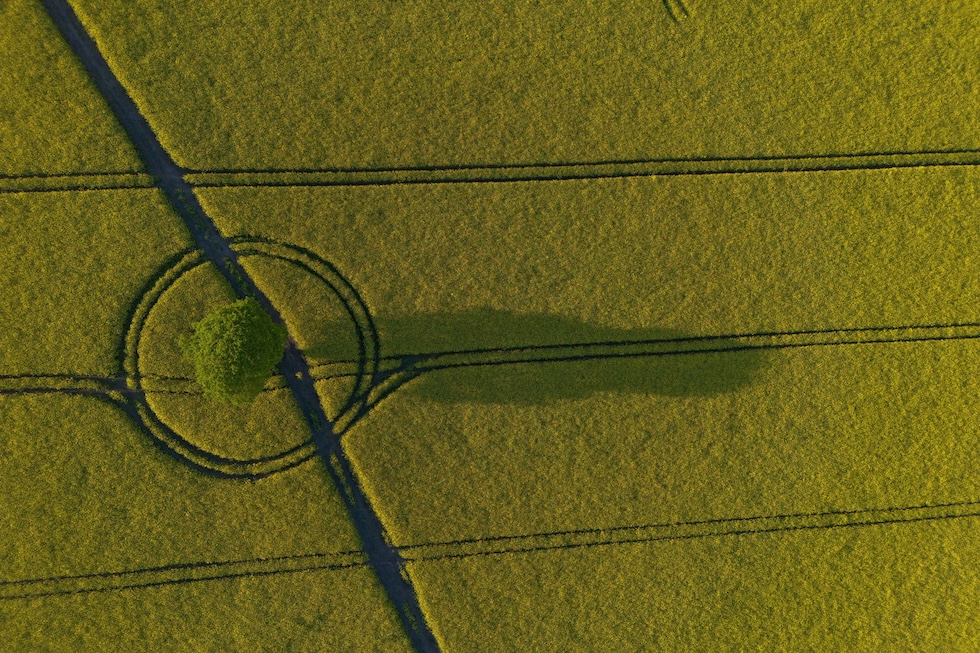 Mercoledì 29 aprile