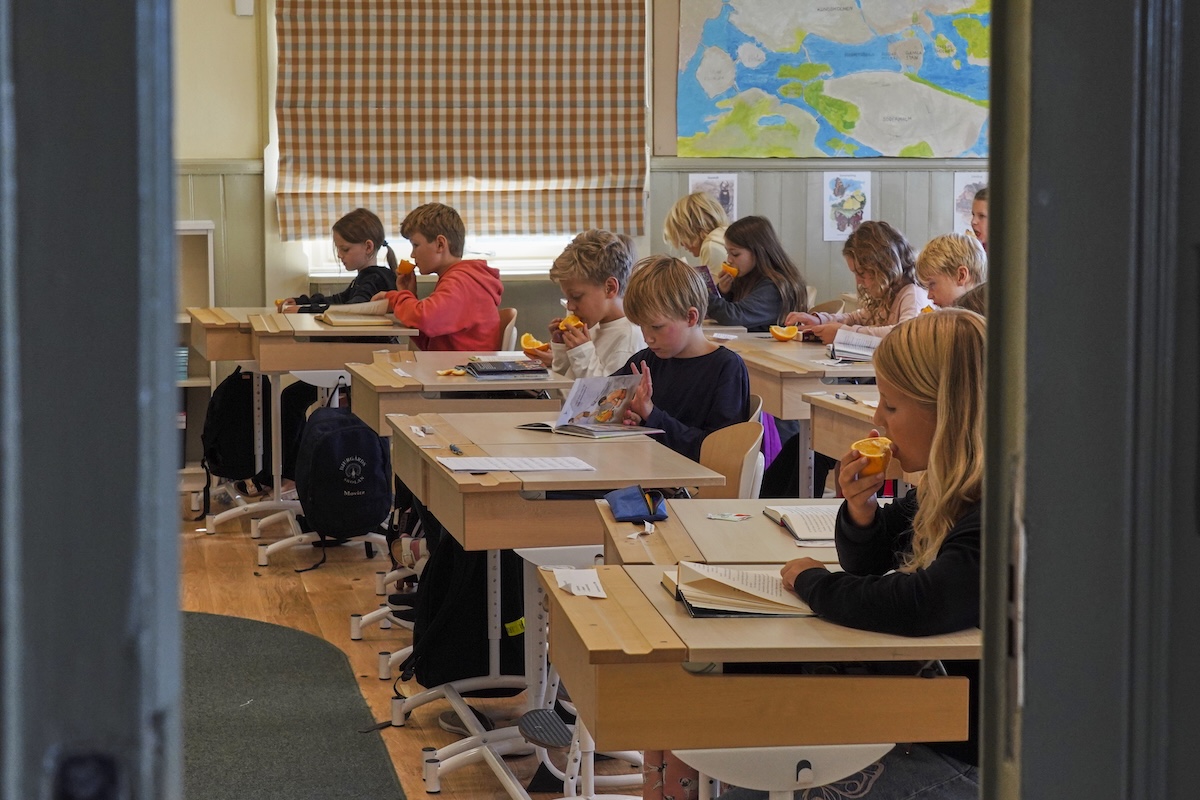 I bambini e le bambine di una classe di scuola elementare mangiano un’arancia mentre leggono un libro