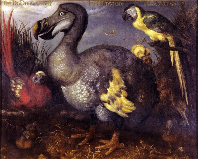 Da quattro secoli pensiamo al dodo nel modo sbagliato