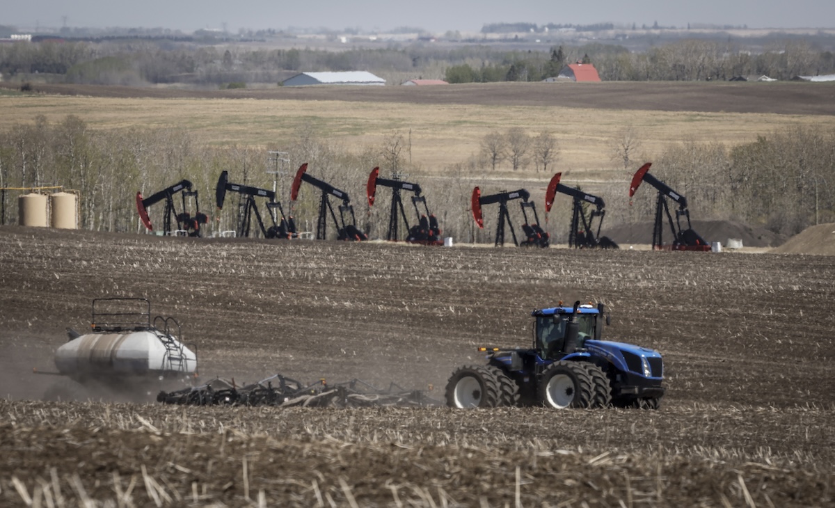 Pompe di petrolio a Cremona, in Alberta, in una foto dell'anno scorso