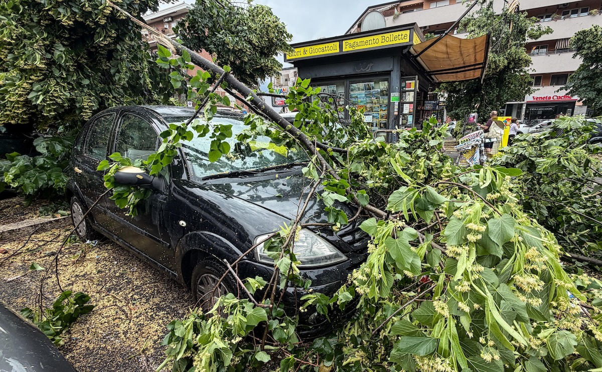 Leggi l'articolo: Gli alberi sradicati e le auto spostate dal vento a causa di una tromba d’aria a Roma