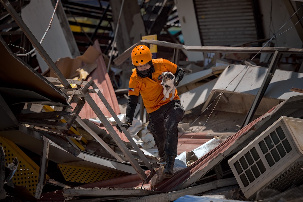 Un cane da soccorso in braccio a un soccorritore mentre cercano persone sotto le macerie di un edificio crollato a seguito di un terremoto di magnitudo 7.8 (Ezra Acayan/Getty Images)
