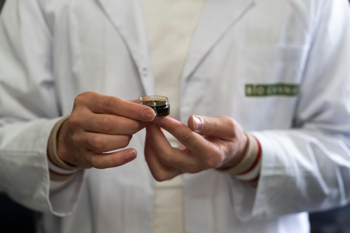 Ci sono controlli in tutta Italia su chi assume cannabis terapeutica
