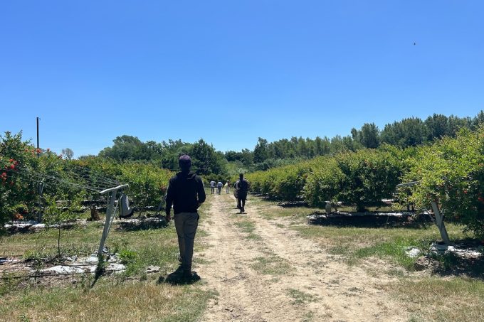 In Calabria c’è anche chi aiuta i lavoratori migra