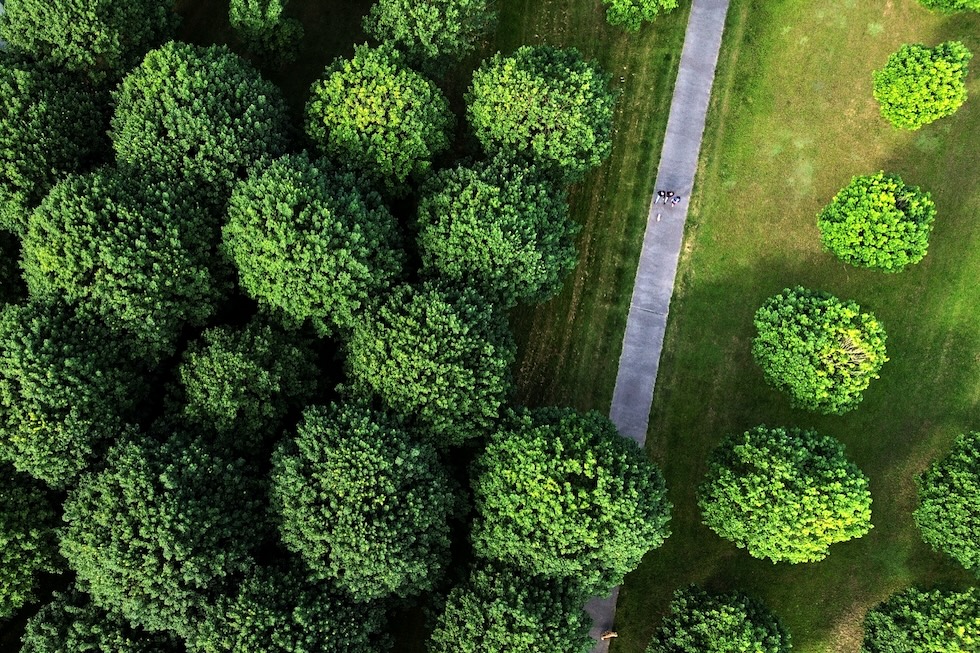 Persone a camminare in un parco (AP Photo/Michael Probst)
