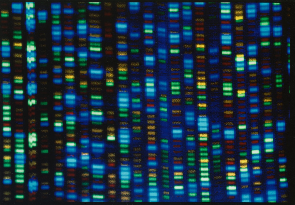 Un nuovo modo di modificare il DNA degli embrioni umani