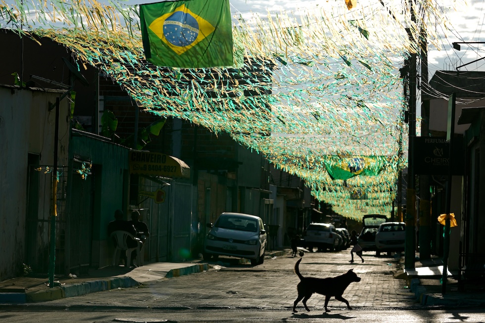 Un cane in una strada decorata con una bandiera brasiliana e altri festoni con i colori della nazionale di calcio nel quartiere Cidade Estrutural, per i Mondiali (AP Photo/Eraldo Peres)