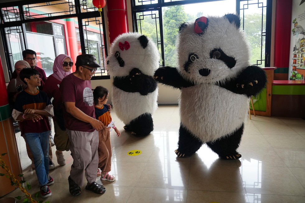 Lavoratori dello zoo Taman Safari accolgono i visitatori durante un evento dedicato a "Rio", il primo cucciolo di panda nato in Indonesia (AP Photo/Tatan Syuflana)
