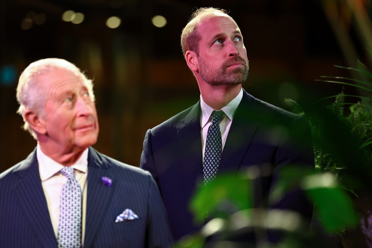 Re Carlo III e il principe William hanno reso noto quante tasse pagano, per la prima volta nella storia della monarchia britannica