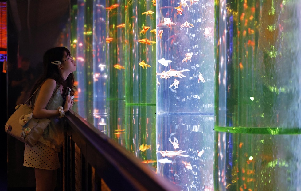 Una visitatrice osserva dei pesci rossi nelle vasche dell'Art Aquarium Museum Ginza (EPA/FRANCK ROBICHON via Ansa)