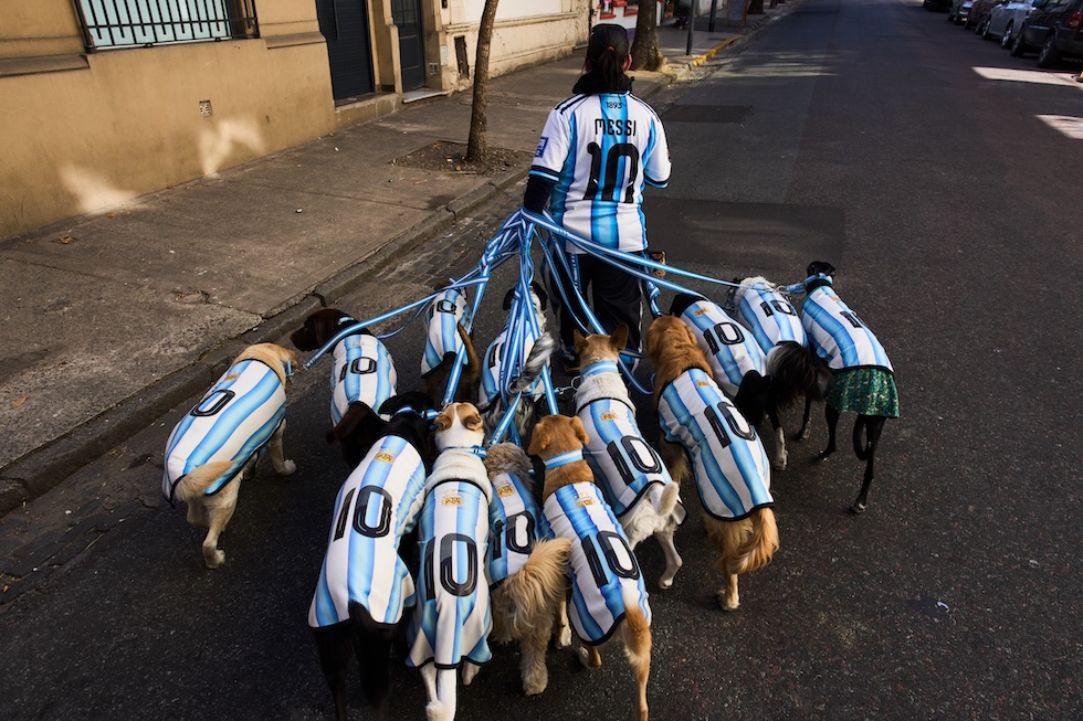 Un dog sitter porta a spasso un gruppo di cani vestiti con la maglia dell'attaccante argentino Lionel Messi (AP Photo/Rodrigo Abd)