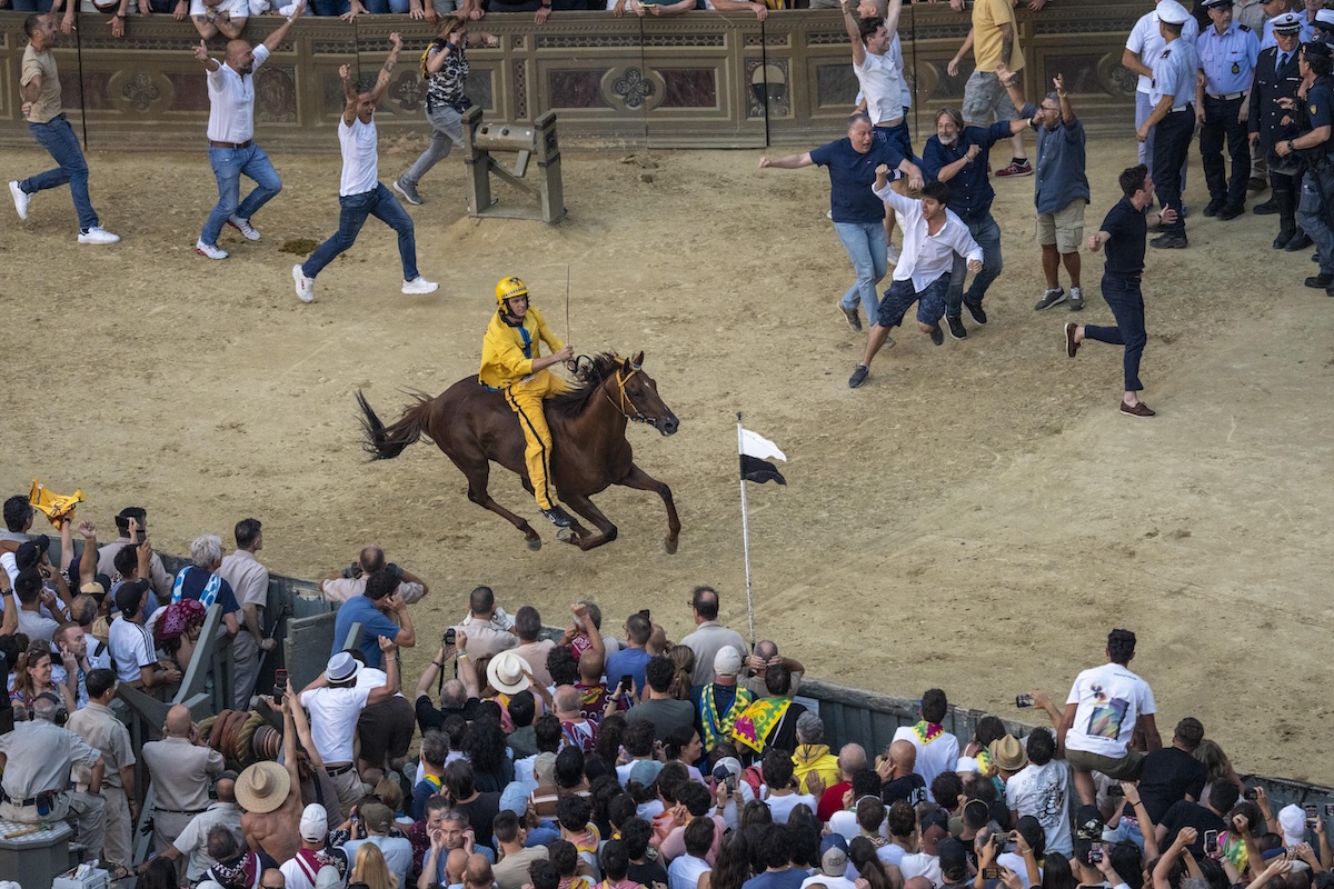 Giovanni Atzeni, detto "Tittia", ha vinto il Palio di Siena cavalcando Diodoro, il 3 luglio 2026 (ANSA/CLAUDIO GIOVANNINI)