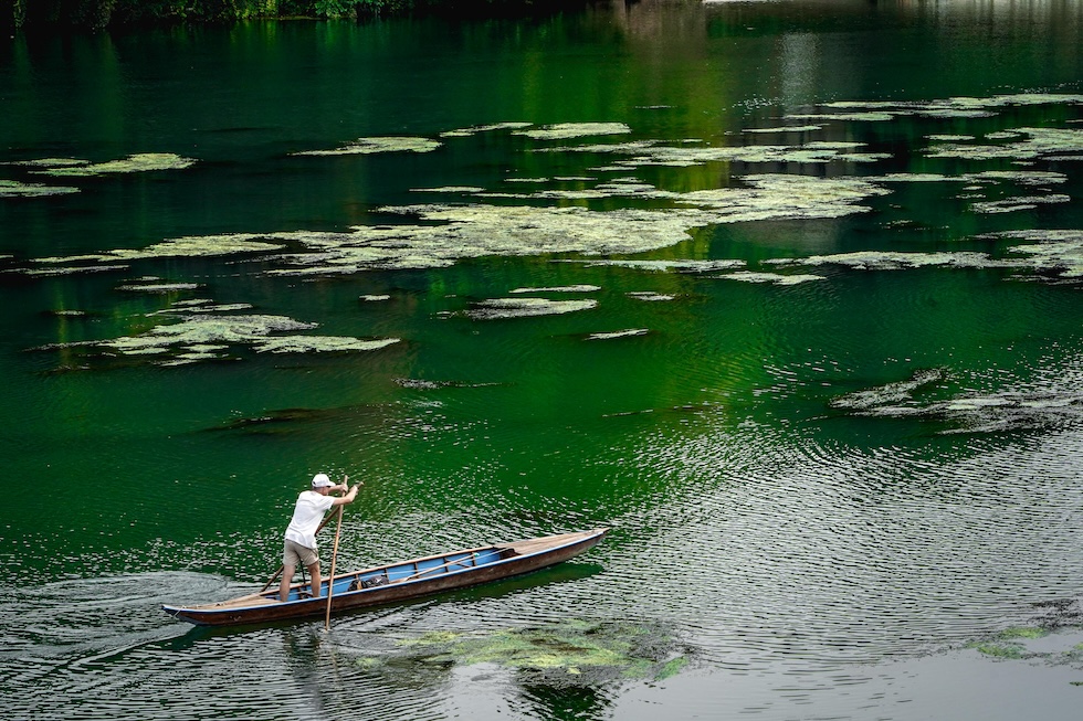 Una persona su un'imbarcazione a perticasulle acque del fiume Po, dove le alghe sono proliferate per il gran caldo (ANSA/TINO ROMANO)