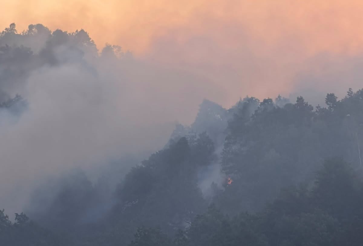 Gli incendi in Piemonte hanno bruciato 700mila alberi