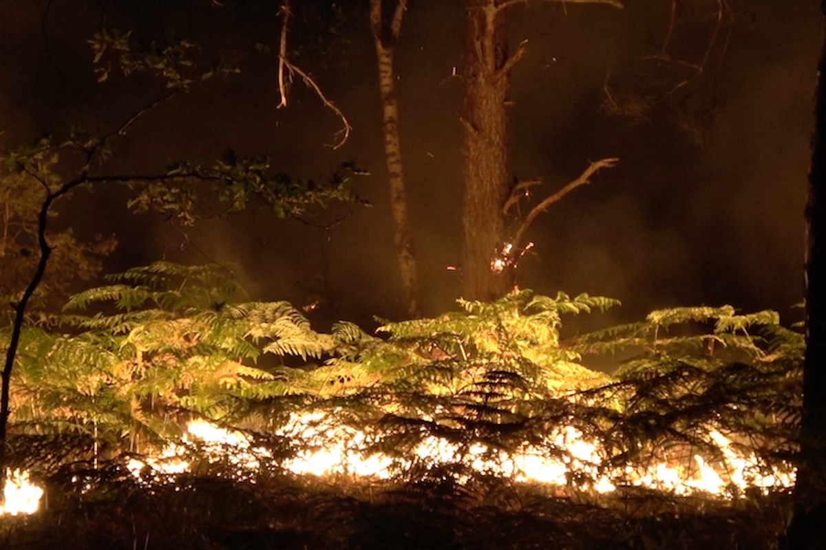 È in corso un grande incendio nella foresta di Fontainebleau, vicino a Parigi