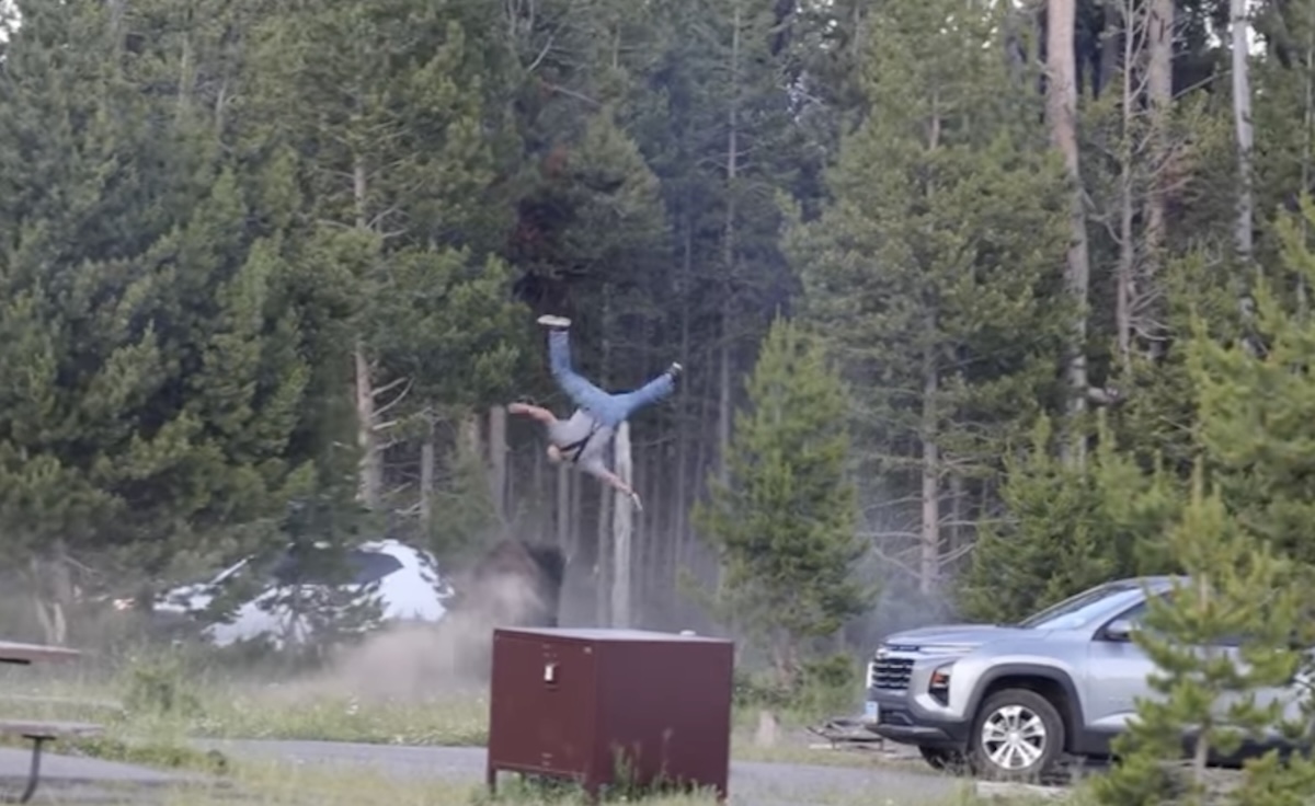 Leggi l'articolo: Il video di un bisonte che scaraventa in aria un turista al parco di Yellowstone, negli Stati Uniti