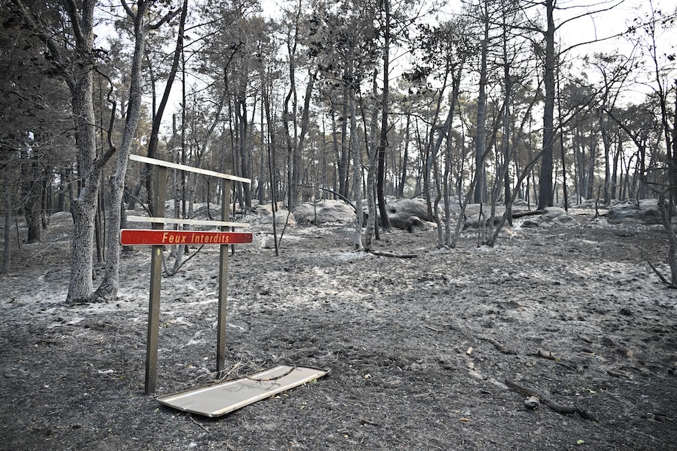 Alberi bruciati da un grande incendio nella foresta di Fontainebleau (AP Photo/Emma Da Silva)