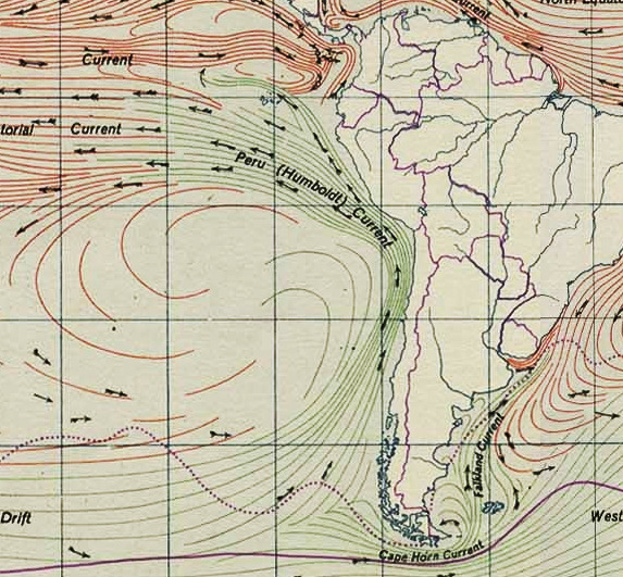 La corrente di Humboldt (Wikimedia Commons)