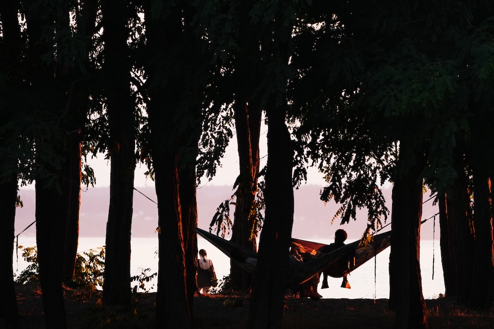 Alcune persone su delle amache tra gli alberi del Golden Gardens Park (AP Photo/Lindsey Wasson)