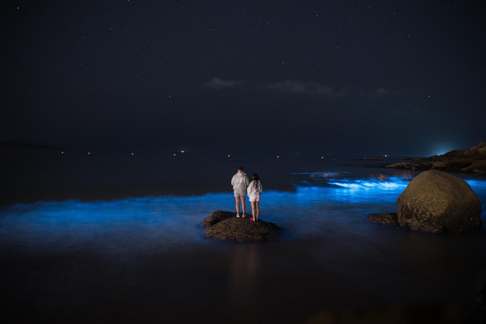Due persone osservano il fenomeno della bioluminescenza, noto in Galizia come mar de ardora, che illumina il mare di una luce azzurrina. Il fenomeno è prodotto da microrganismi marini bioluminescenti che emettono luce quando vengono agitati dal movimento delle onde ed è favorito dall’accumulo di microalghe e dall’aumento della temperatura del mare (EPA/ELENA FERNANDEZ via Ansa)