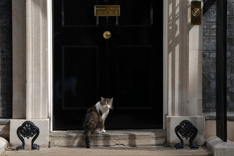 Larry, il gatto che vive a Downing Street – la residenza ufficiale del primo ministro e la sede del governo –, davanti alla porta nel giorno in cui Andy Burnham diventerà nuovo primo ministro del Regno Unito (AP Photo/Kirsty Wigglesworth)
