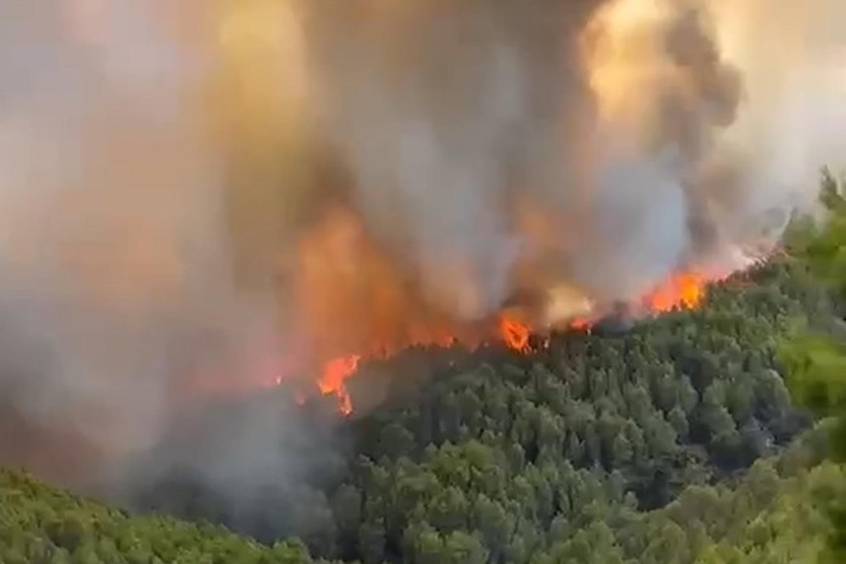 Sono in corso grossi incendi nel Gargano e in Molise